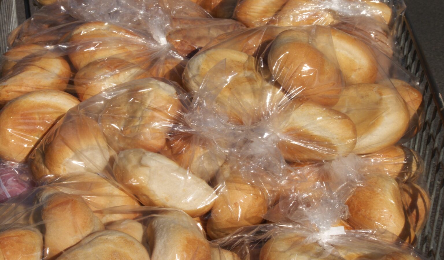 Bread Rolls in Bags